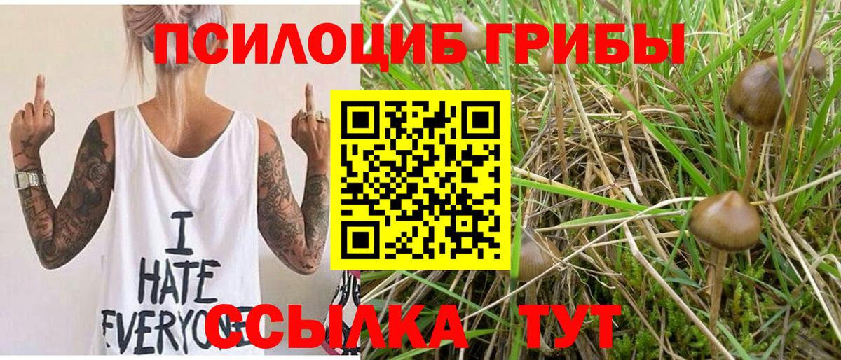 Псилоцибиновые грибы ЛСД  Галлюциногенные грибы GOLDEN TEACHER  как найти закладки  Похвистнево  Вход с VPN 