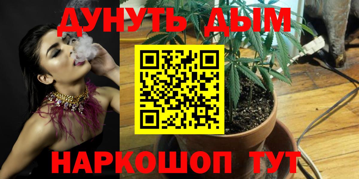 Конопля марихуана Похвистнево
